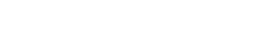 UAV Navigation